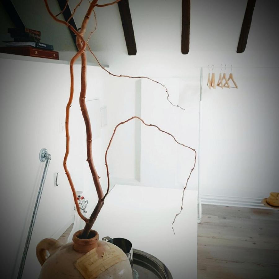 Kelsterhaus Ξενοδοχείο Κέλστερμπαχ Εξωτερικό φωτογραφία